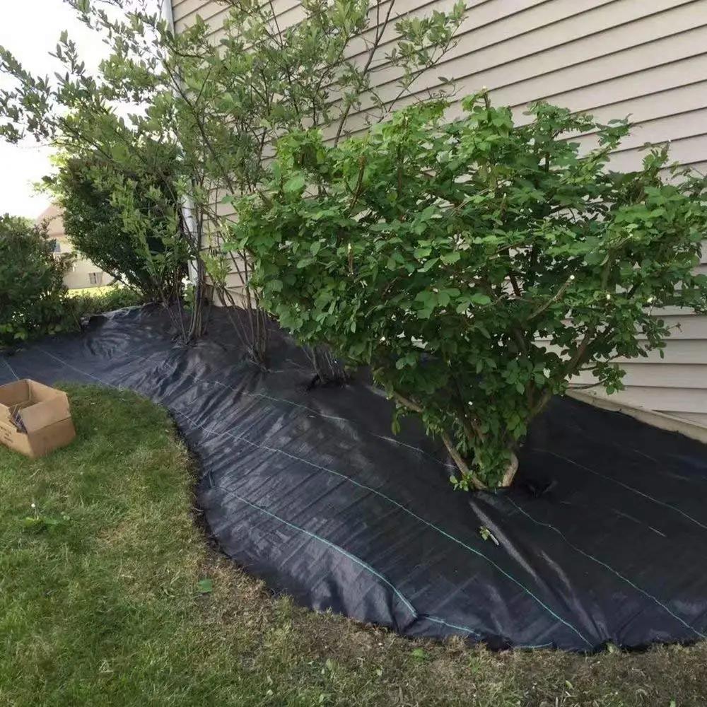 Tissu paysage noir Rap-Duty, barrière commerciale contre les mauvaises herbes, Pro, 5 pi x 100 pi