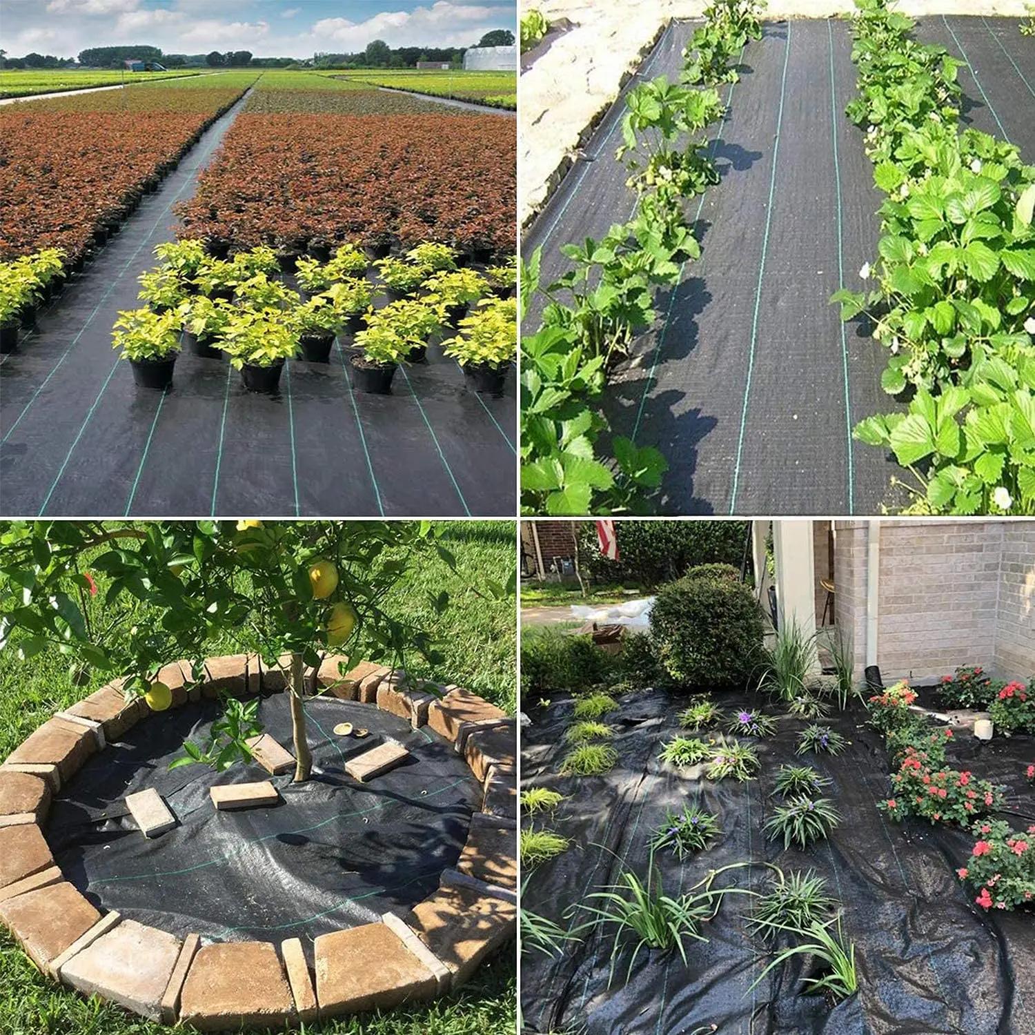 Tissu paysage noir Rap-Duty, barrière commerciale contre les mauvaises herbes, Pro, 5 pi x 100 pi