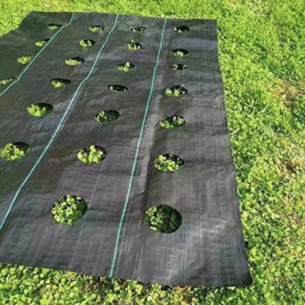 Easy-Plant Weed nights pour lit suréWer, tapis de jardin extérieur, polymères de jardin, trou de pla