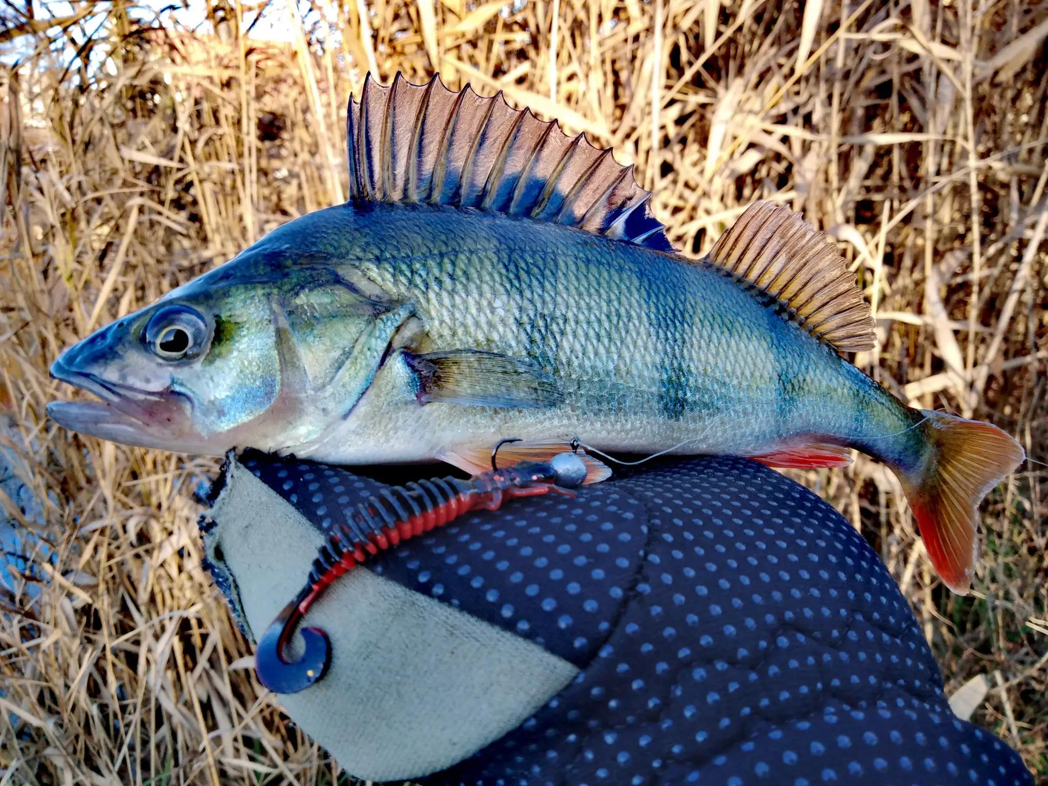 2019 larve leurres souples leurres artificiels pêche ver Silicone bar brochet vairon Swimbait gabari