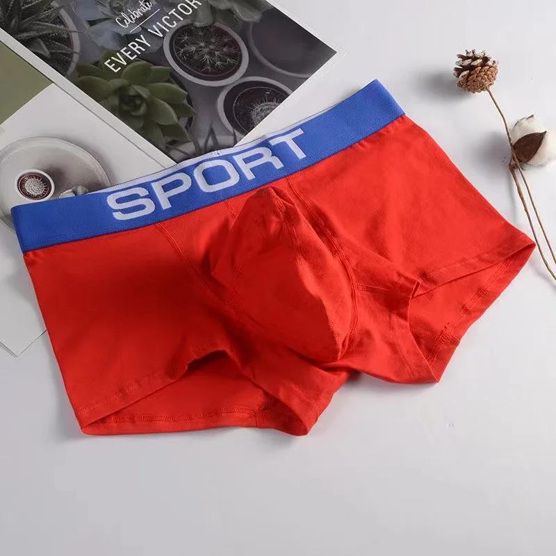 Boxer Sexy en Coton Biologique pour Homme, Sous-Vêtement Doux, Freegun U Convex, Nez de Tronc d'Élép