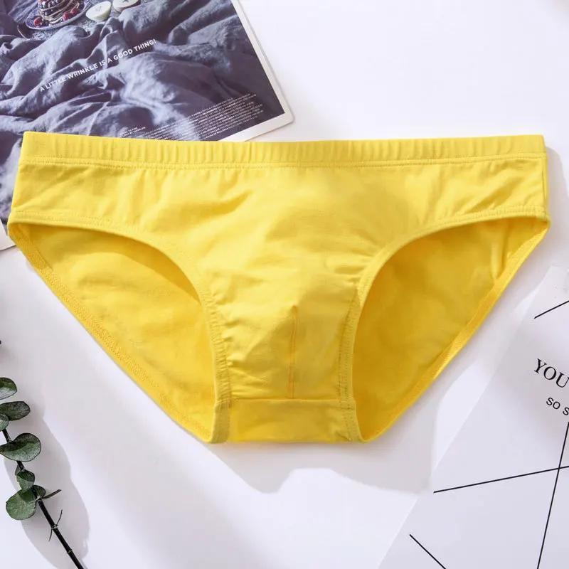 Sous-vêtements sexy en coton pour hommes, slips solides, culottes pour adultes, pantalons de bikini 