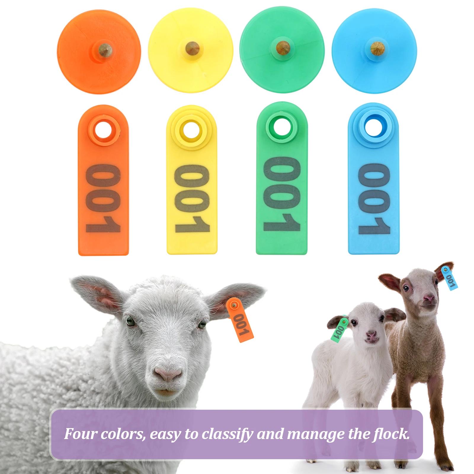 No. Étiquettes d'oreille de mouton 1 à 500 signes avec le mot, frappe Laser, boucles d'oreilles tête