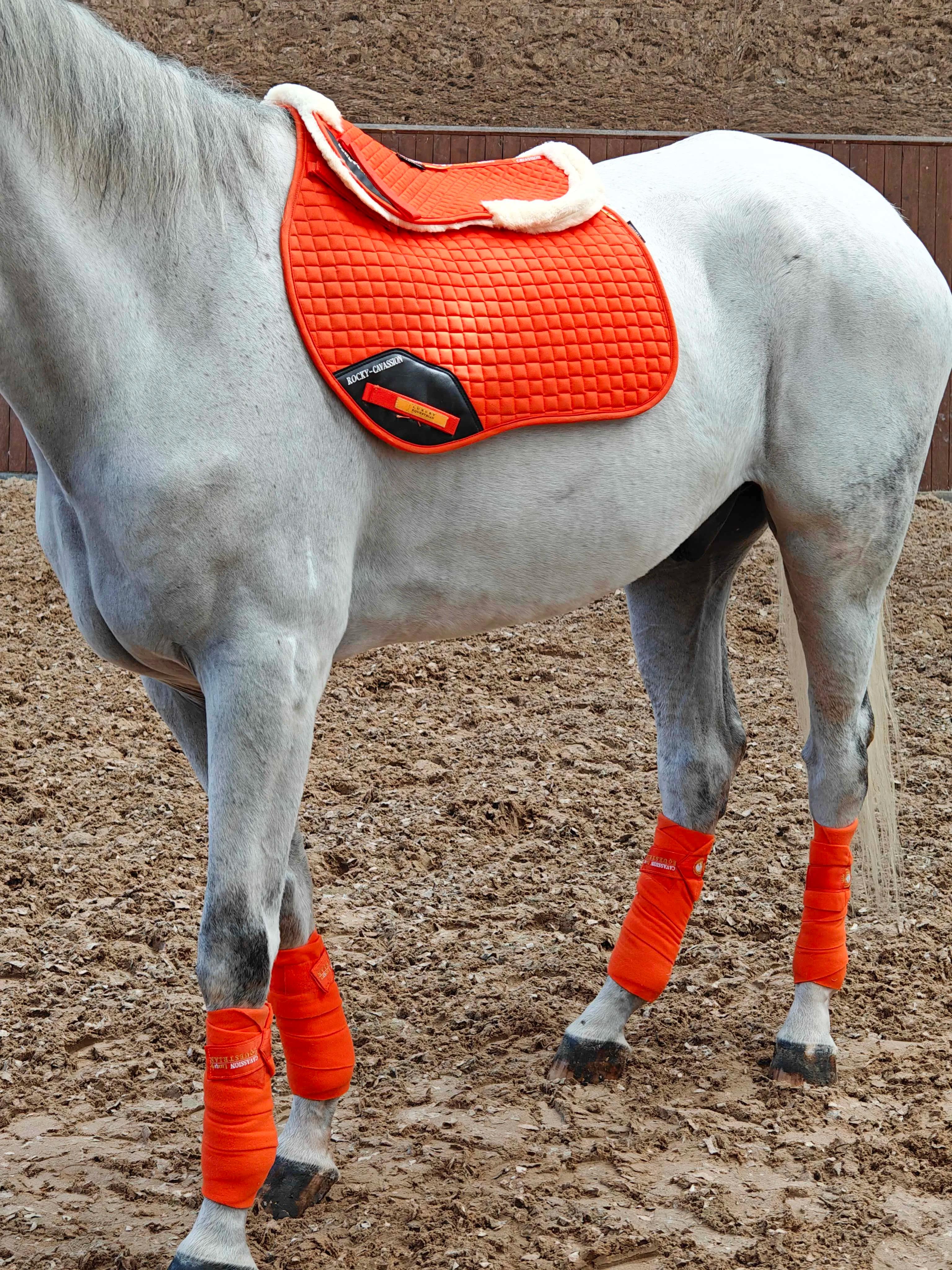 Demi-coussin doublé de correcteur de couleur noire, équitation sur le dos du cheval, équipement éque