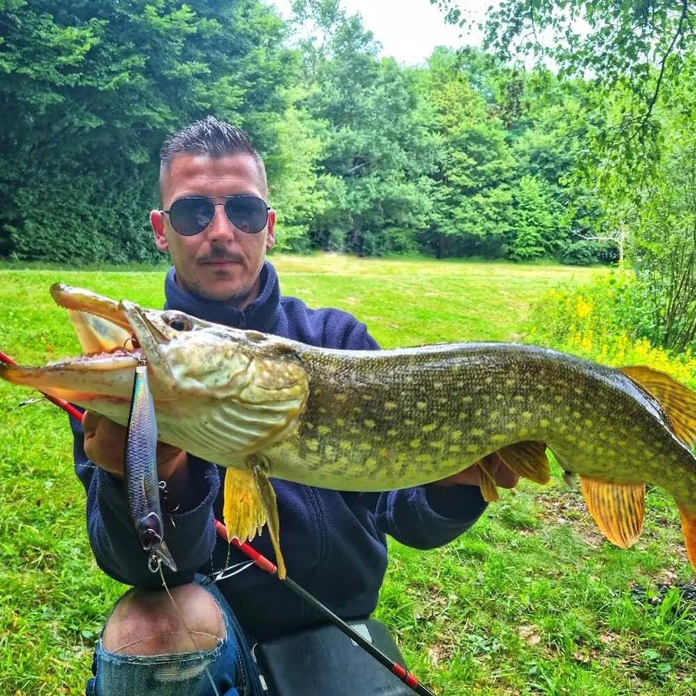 GOBAIT coulant vairon 19g flottant Jerkbait 15g leurre de pêche appât dur triple crochets Swimbait P