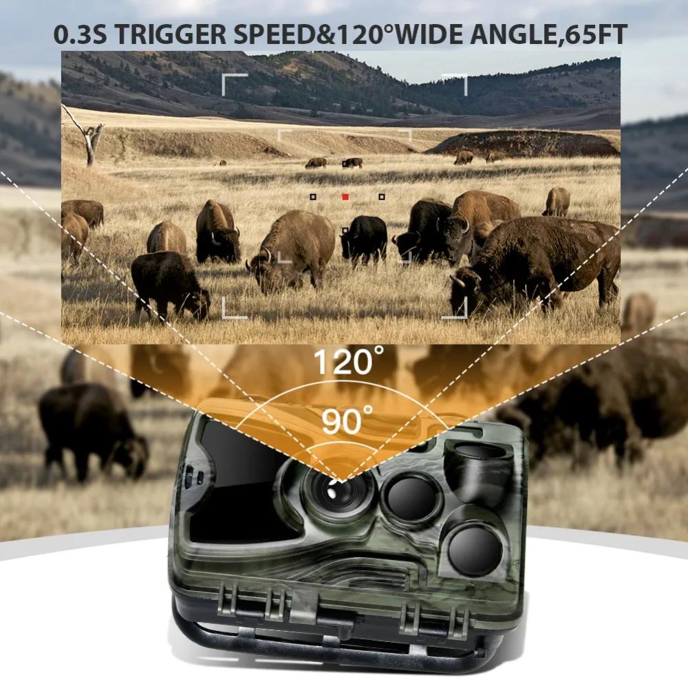 Suntekcam HC-801A caméra de chasse avec batterie au Lithium 5000Mah 16MP 64GB caméra de traînée IP65