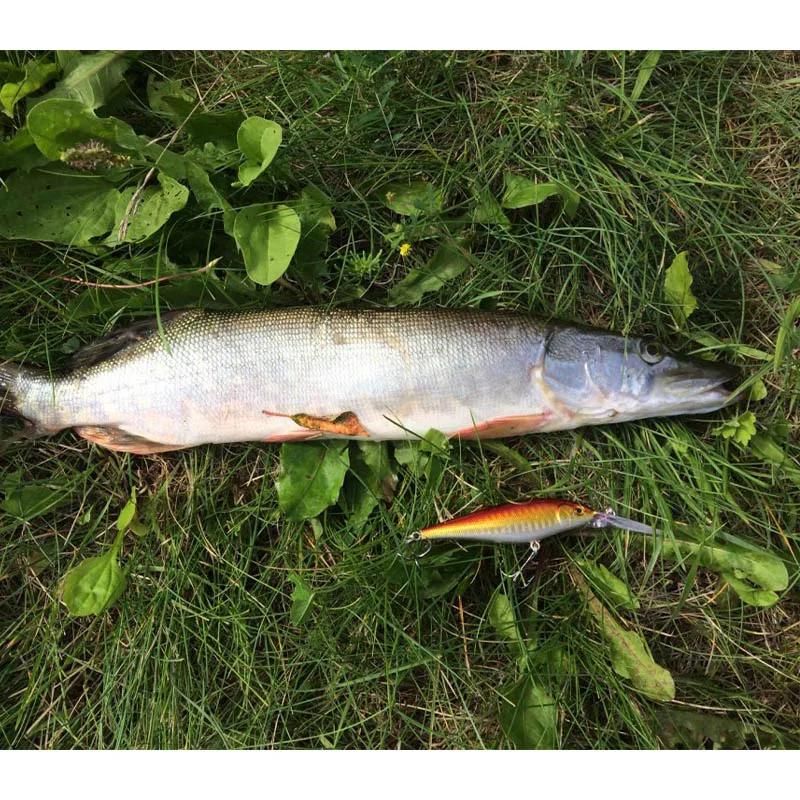 Nouveau 11 cm 10.5g appât dur méné strie leurres de pêche basse crochet d'eau douce perche de plongé