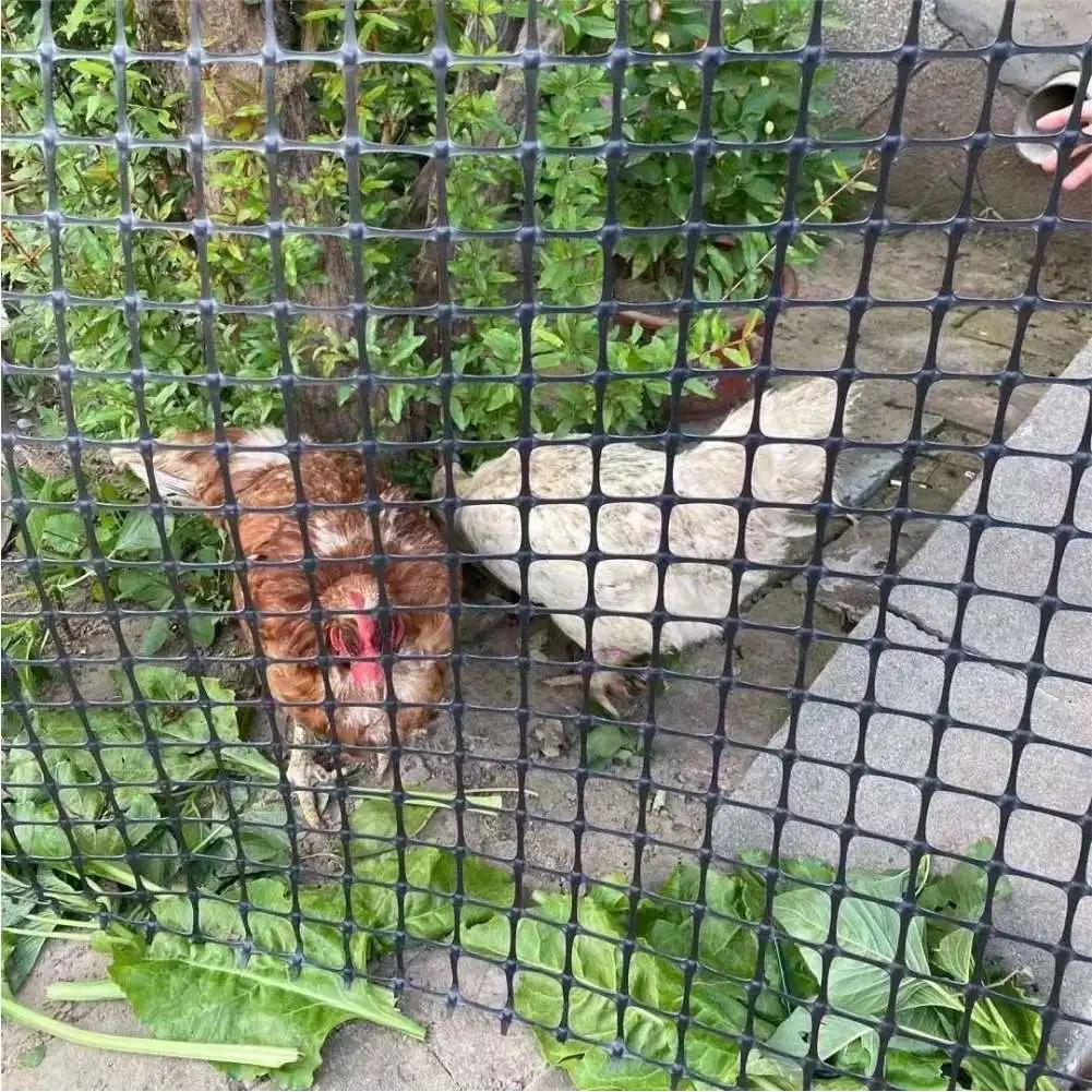 Filet de treillis de jardin en plastique noir filet de maille étanche chat animal de compagnie poule