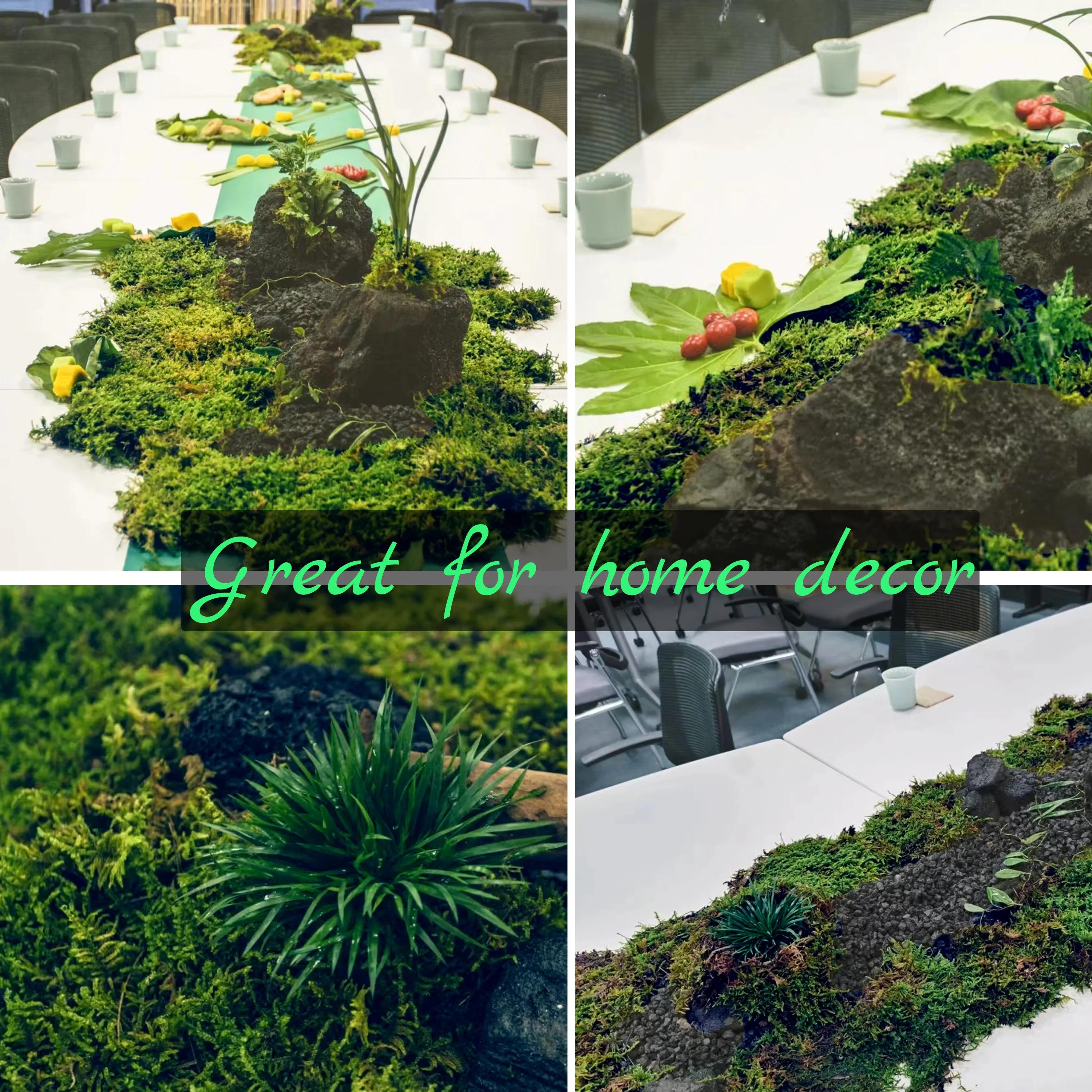 Mousse artificielle verte pour plante en pot, mélange d'orchidées, poteau de mousse de tourbe, artis