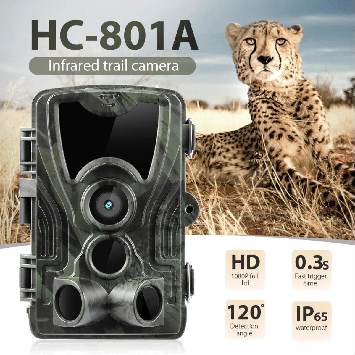 Caméra de chasse extérieure avec vision nocturne, HC80l'autorisation, caméra de repérage quelque par