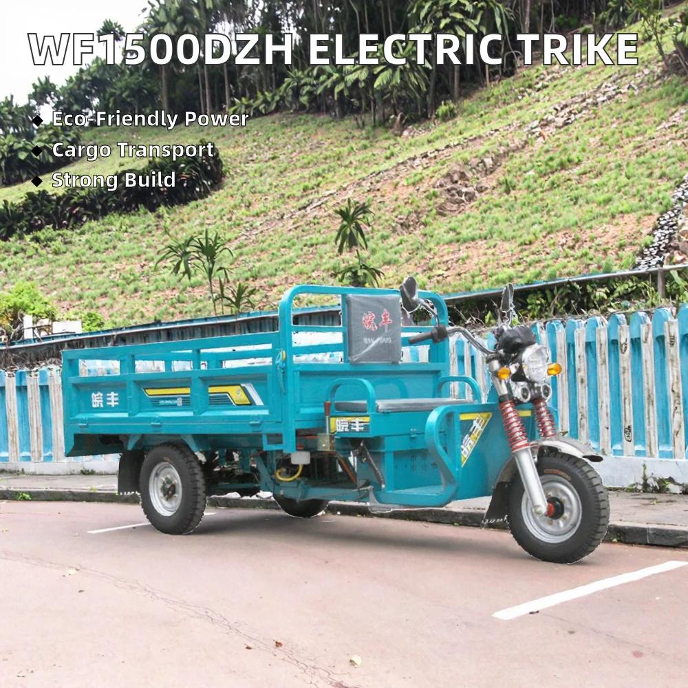Tricycle électrique cargo 3000W