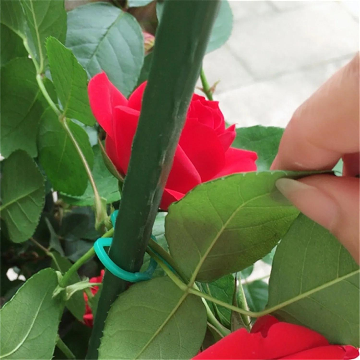 Clips pour plantes de jardin en forme de papillon vert, pince à boucle à levier M, paquet de 100