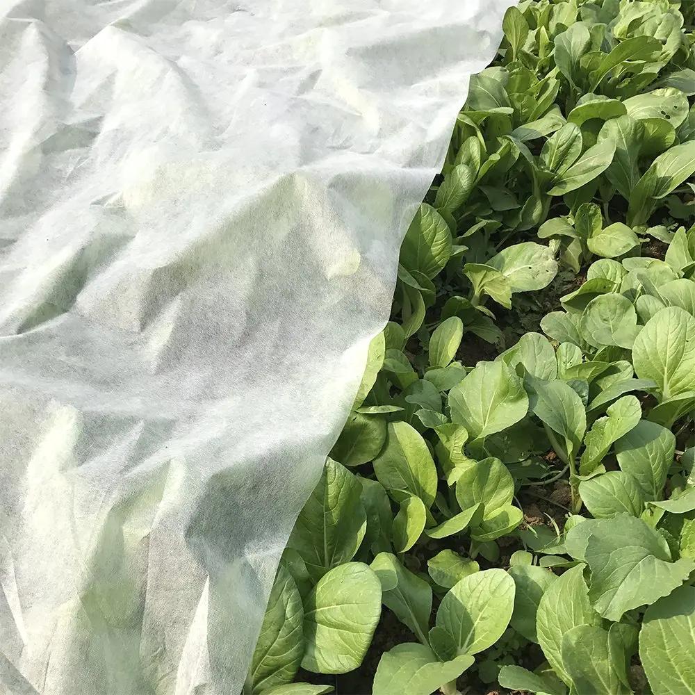 NucleoCover Flottant Plant Blanket, 0.55 oz. 7 ft x 100 ft, Frost Protection and Terrible Weather De