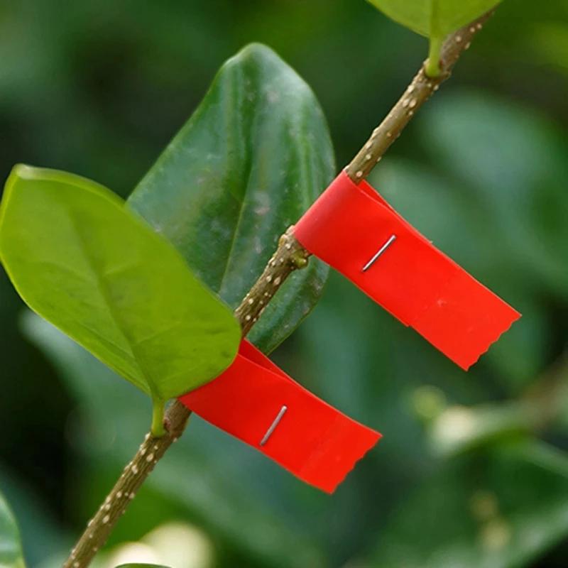 Tapetool pour plantes de jardin, longueur 30m/pièce, 10 rouleaux de ruban adhésif, outils de taille