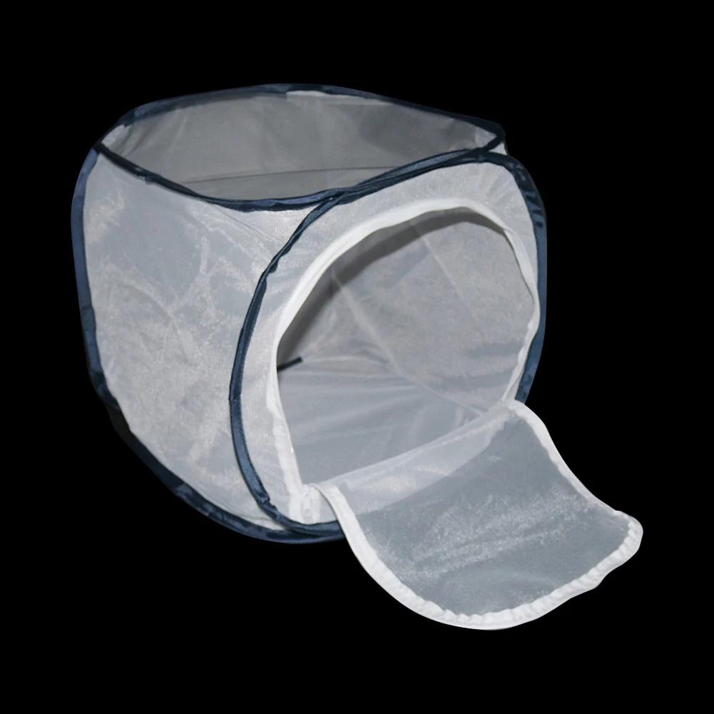 Cage d'élevage d'insectes, 1 pièce, boîte à insectes, filet en tissu, Mantis de prière, bâton, enclo