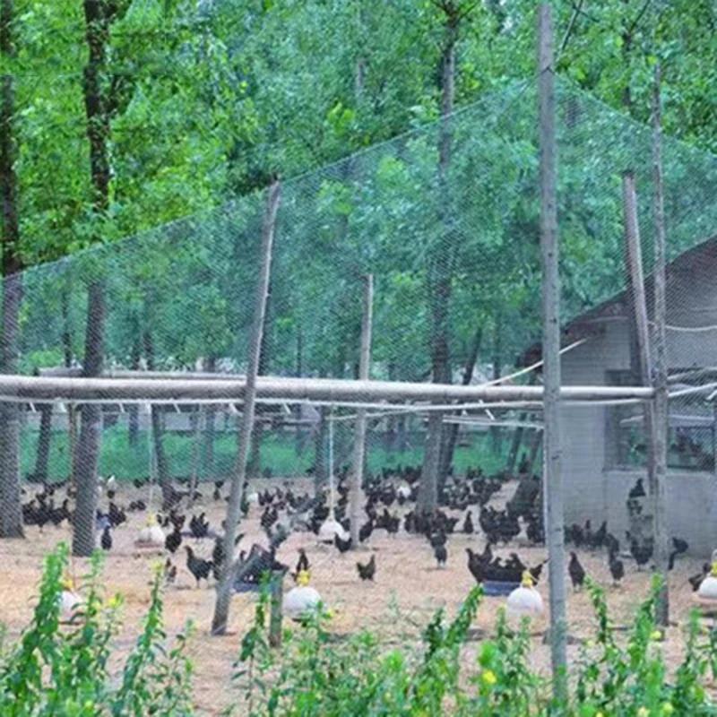 Filet Anti-oiseaux lourd, clôture et cultures de jardin, clôture de protection, maille Anti-oiseau,