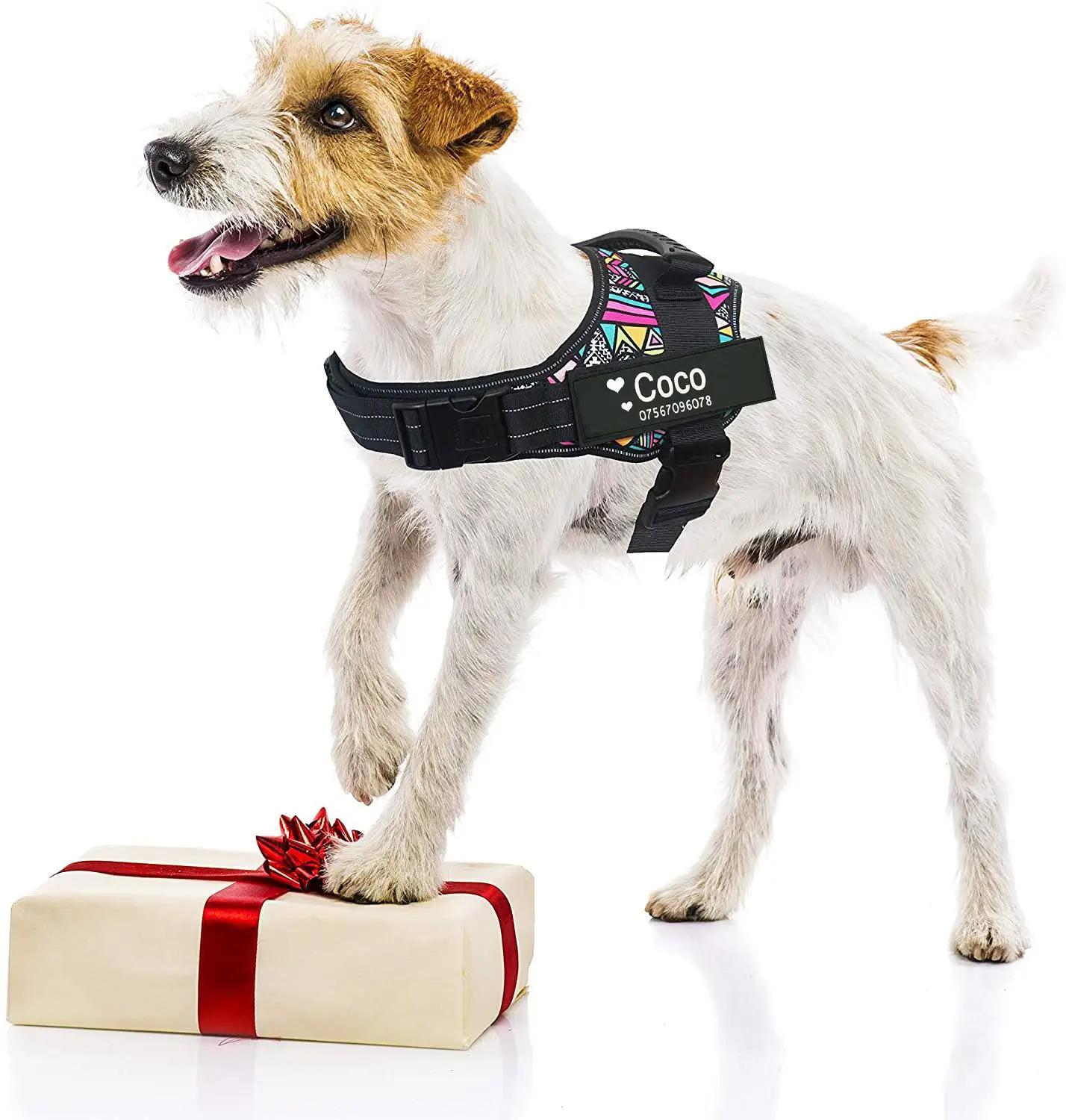 DOG FAVORS – harnais coloré pour chien, gilet, étiquettes personnalisables, collier réfléchissant po