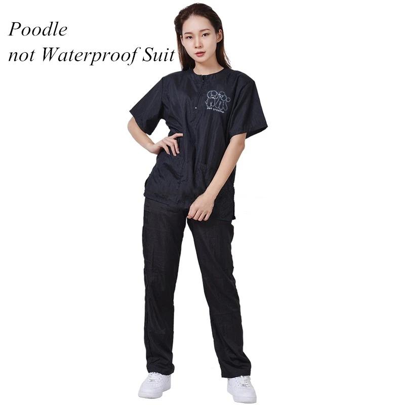 Uniforme de toiletteur imperméable pour animaux de compagnie, coupe trempée, respirante, douce, salo