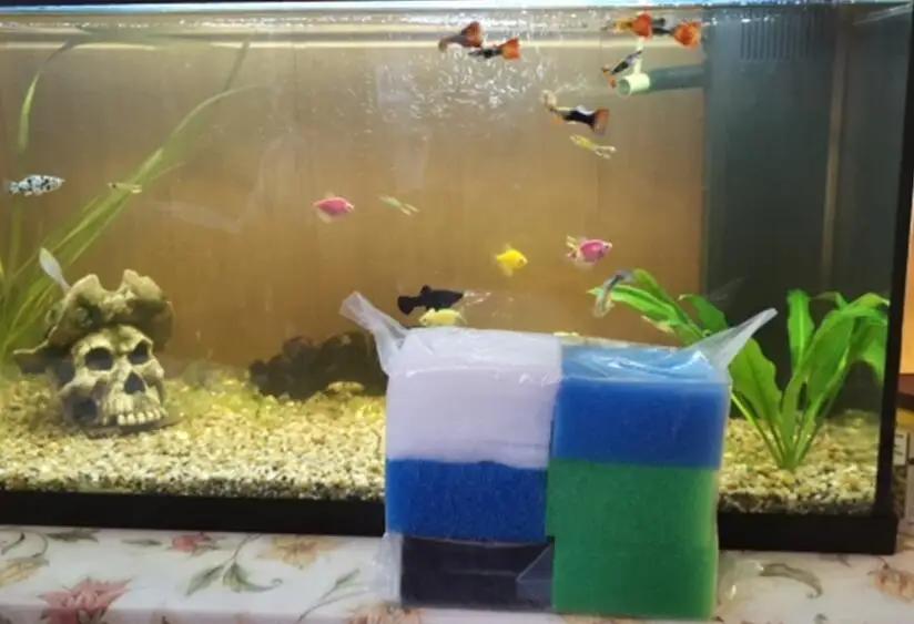 Accueil 1 ensemble de filtres d'aquarium compatibles pour Juwel Compact / Bioflow 3.0 (2 x fin, 1 x