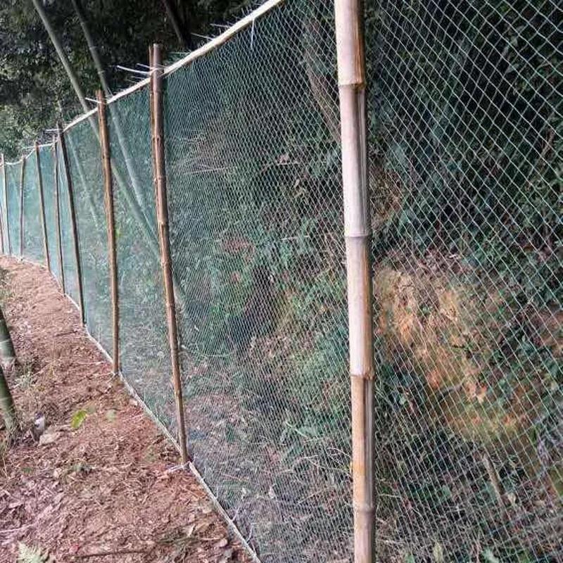Filet Anti-oiseaux lourd, clôture et cultures de jardin, clôture de protection, maille Anti-oiseau,