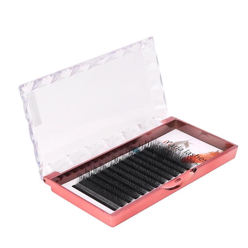 MARIA 10 étuis 4D W en forme de faisceau Extensions de cils Patch Faux marque privée gros grappes fa