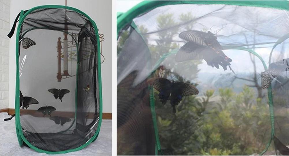Cage d'élevage d'insectes, 1 pièce, boîte à insectes, filet en tissu, Mantis de prière, bâton, enclo