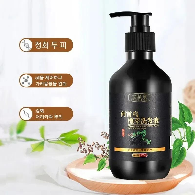 Shampoing à base de plantes Polygonum Multiflorum, contrôle de l'huile, contrôle des pellicules, sha