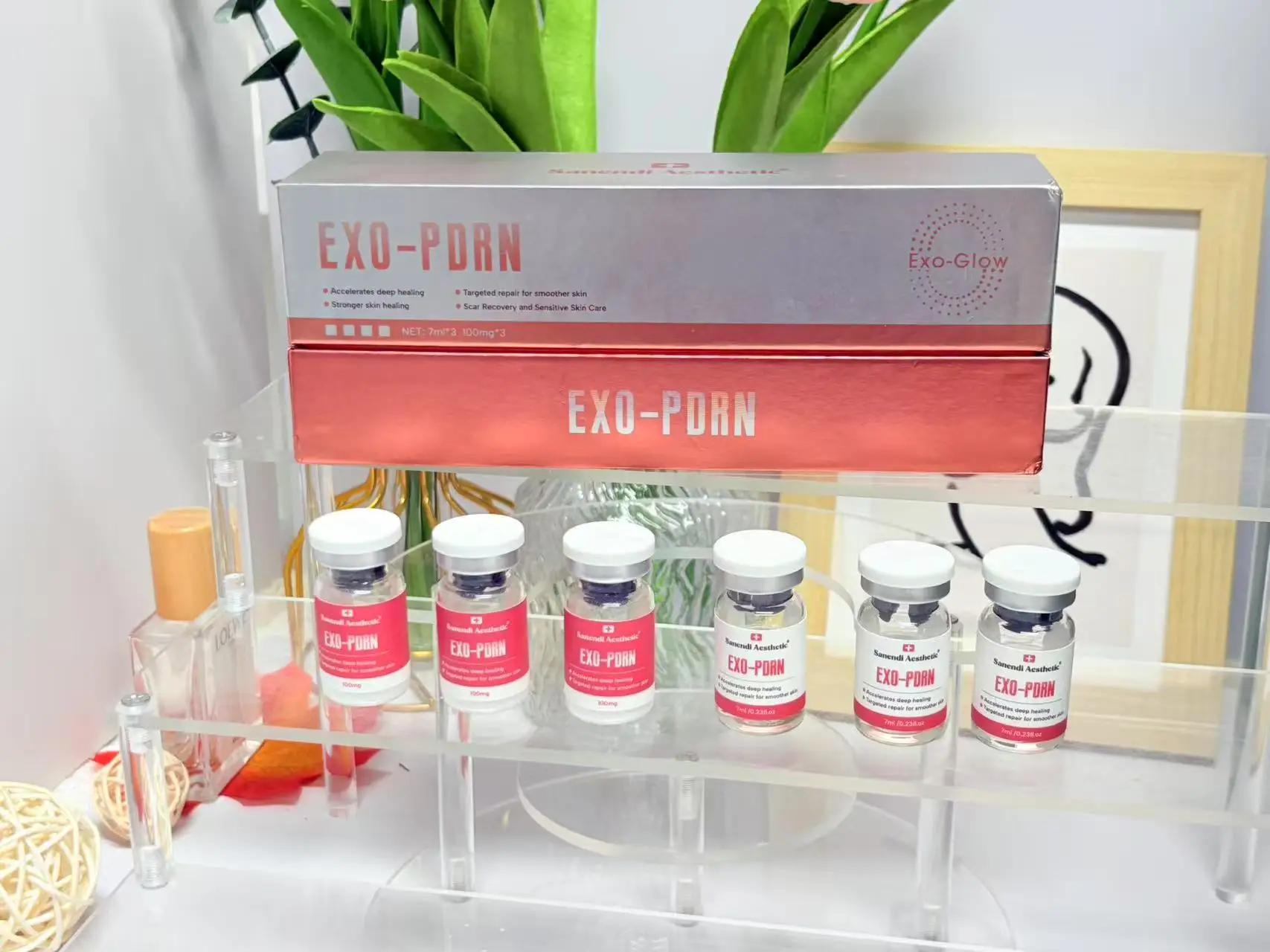 Sérum Anti-âge pour exosomes PDRN, élimine les ridules, les cicatrices d'acné, Anti-inflammatoire, s