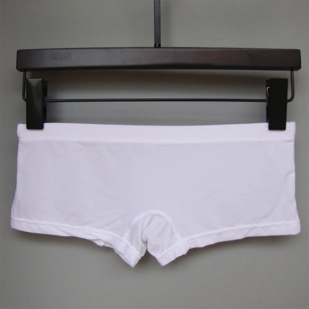 Sous-vêtements transparents pour hommes, caleçons, caleçons, slips, lingerie, sexy, taille basse