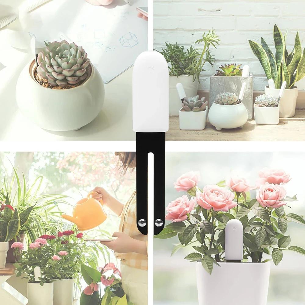 HHCC – moniteur intelligent de flora de fleurs, soins de jardin, plantes, herbe, sol, testeur de fer