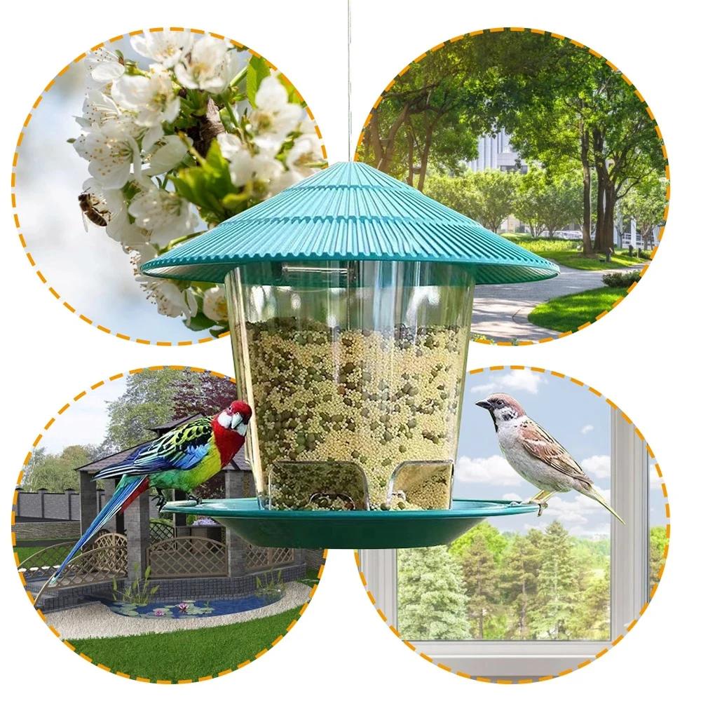 Mangeoire pour oiseaux, outil d'alimentation automatique des pieds, mangeoire pour oiseaux en plein
