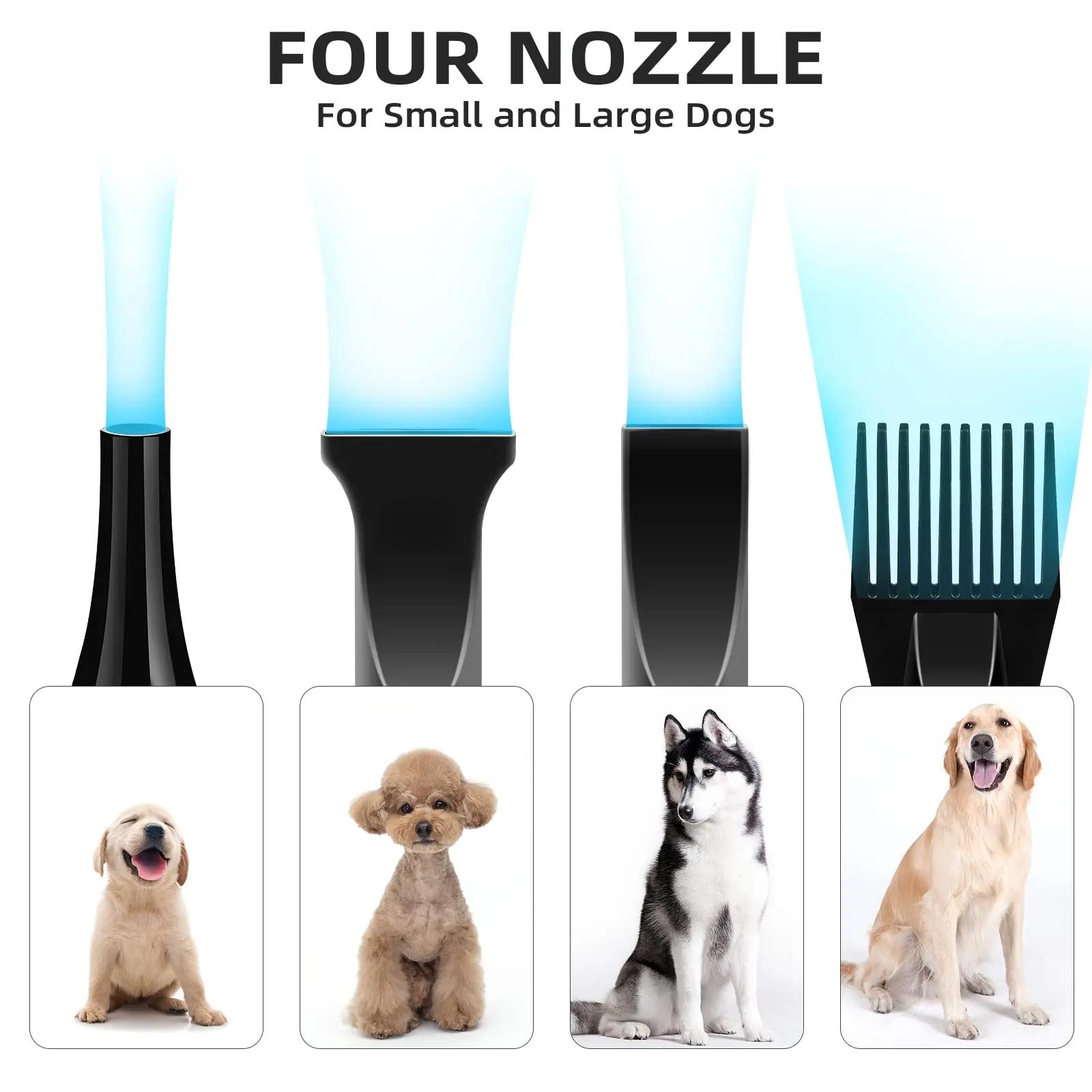 Sèche-cheveux pour animaux de compagnie, souffleur de toilettage pour grands chiens, bl84de force av