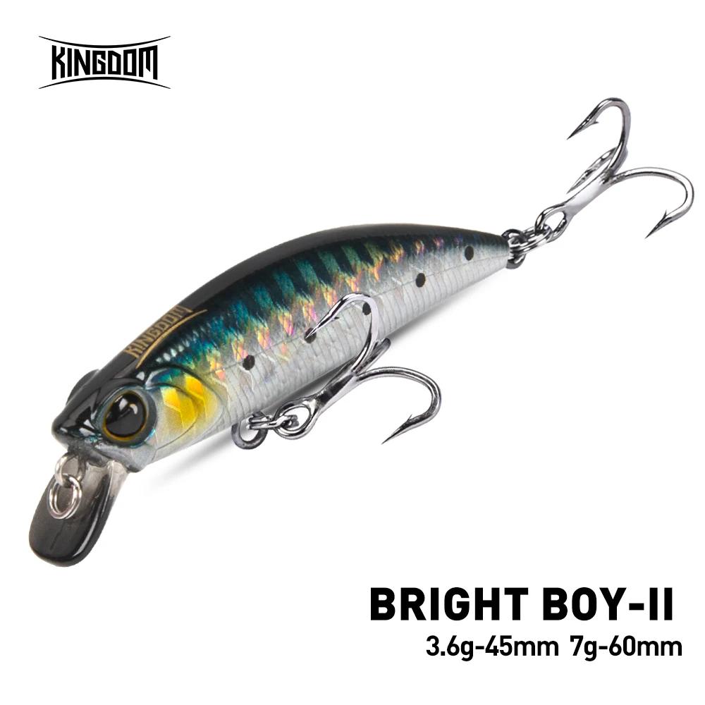 Kingdom coulant méné leurre de pêche 45mm 60mm coulée lointaine artificielle dur Wobbler manivelle c
