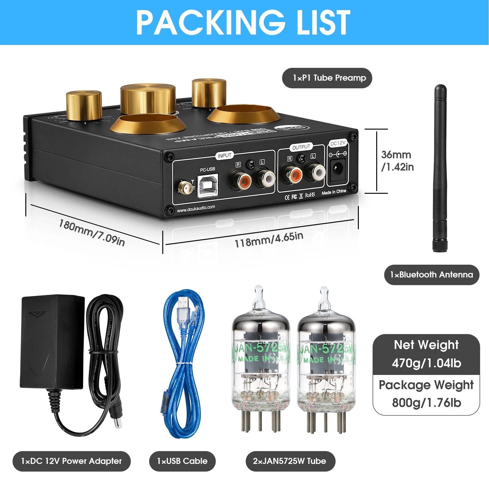 Douk Audio P1 HiFi JAN5725 préampli à Tube sous vide Bluetooth 5.0 récepteur Audio USB DAC amplifica