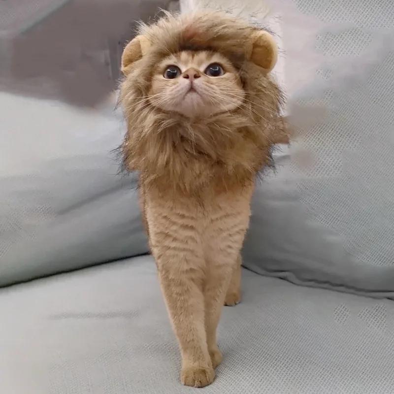 Chapeau de perruque de crinière de chat mignon pour chiens et chats, casquette de cheveux de paupièr