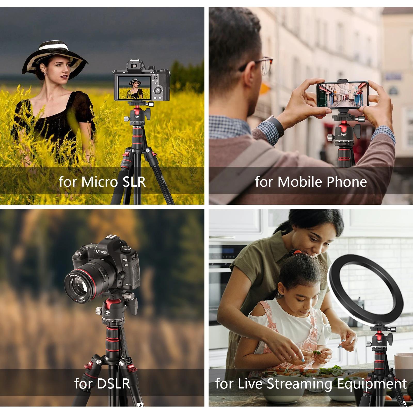 EVUMO C5 Tête sphérique professionnelle 38 mm Grande tête sphérique 360 ° Tête de trépied panorami