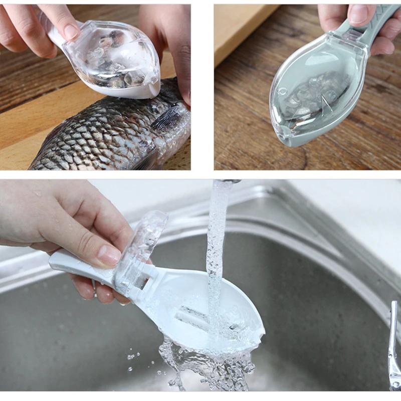 Râpes à écailles de poisson, grattoir, outil de nettoyage du poisson, dispositif de grattage avec co
