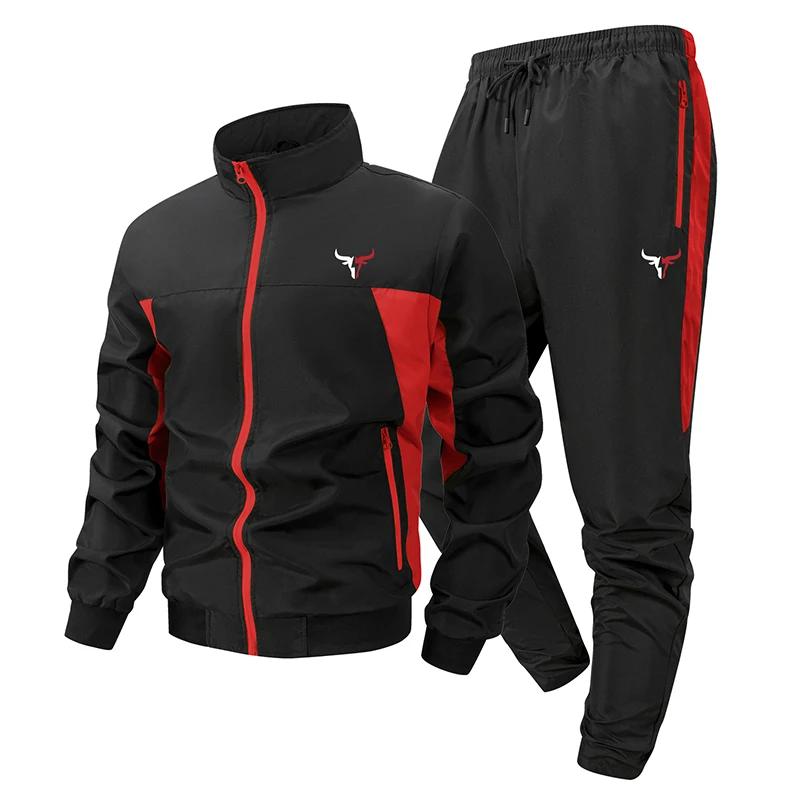 Ensemble de sport Colorblock imprimé taureau pour hommes, col montant d'extérieur, veste zippée, man