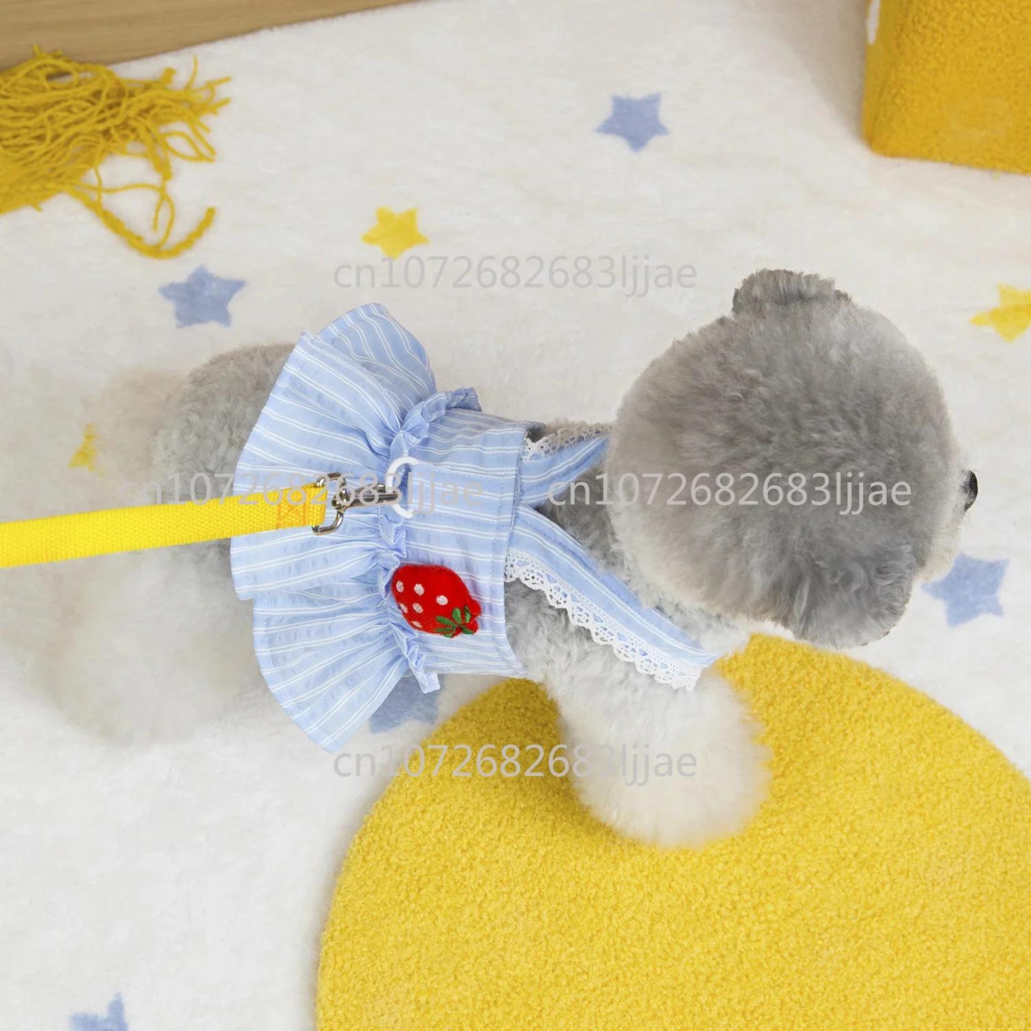 Vêtements pour petits chiens, jupe à laçage pour chiot Bichon, costume pour chien, nouvelle robe d'é
