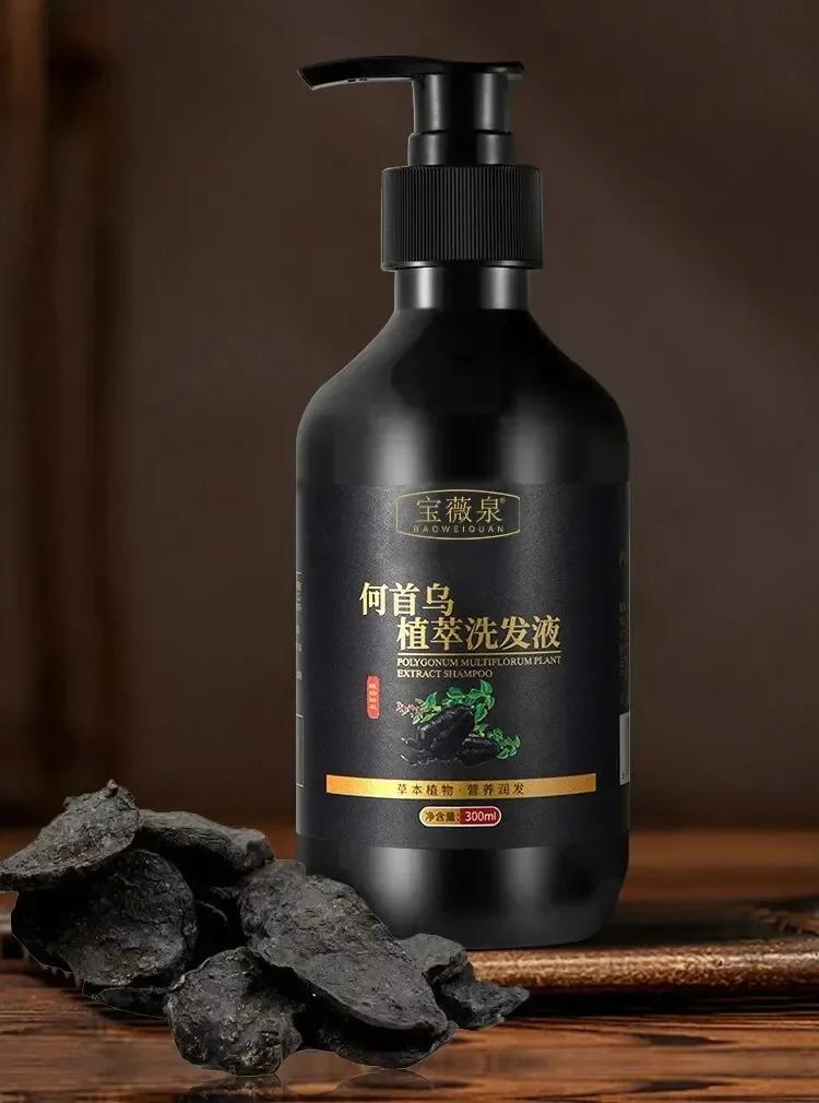 Shampoing à base de plantes Polygonum Multiflorum, contrôle de l'huile, contrôle des pellicules, sha
