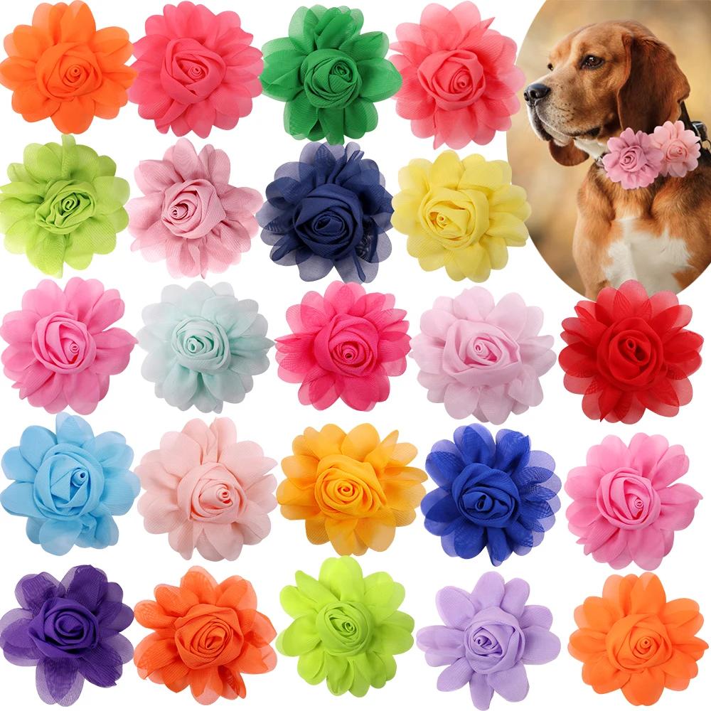 Collier à Grande Fleur pour Chien, Accessoire pour Animaux de Compagnie, 50px
