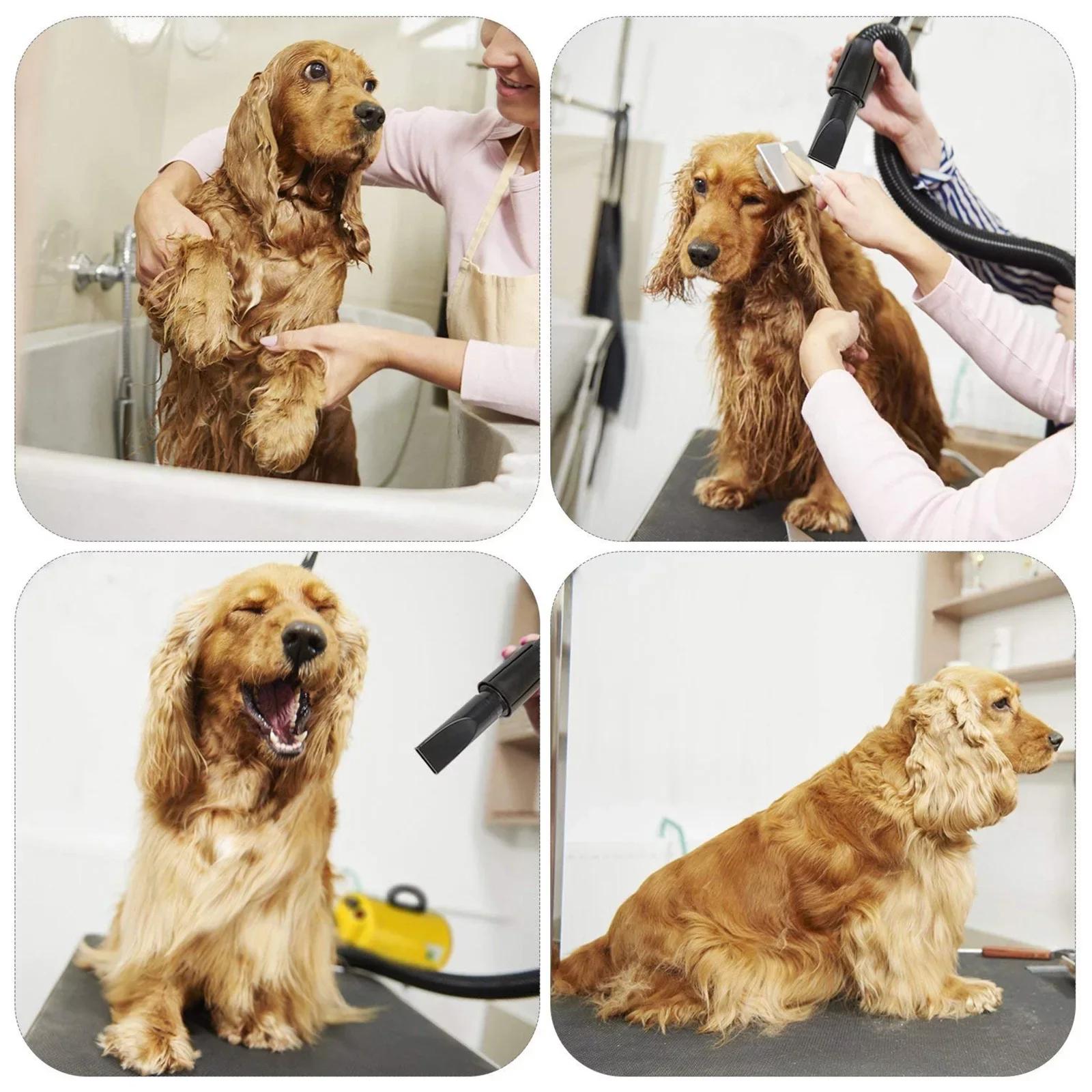 Sèche-cheveux pour animaux de compagnie, souffleur de toilettage pour grands chiens, bl84de force av