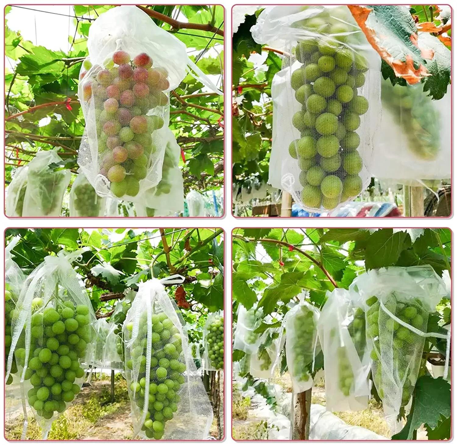 Sacs de Protection des fruits, 100 pièces, filet antiparasitaire, sacs de raisin Anti-oiseau, filet