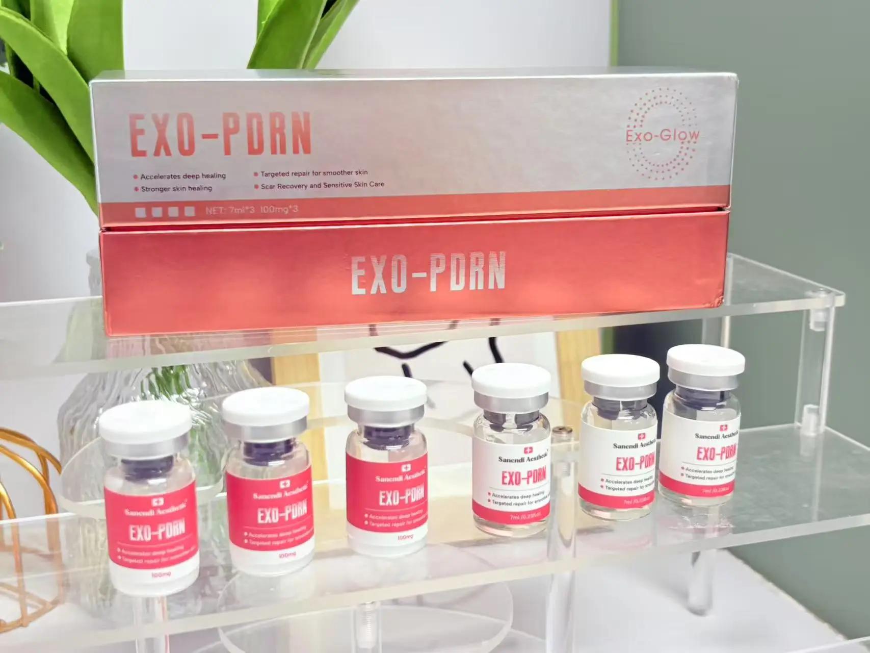 Sérum Anti-âge pour exosomes PDRN, élimine les ridules, les cicatrices d'acné, Anti-inflammatoire, s