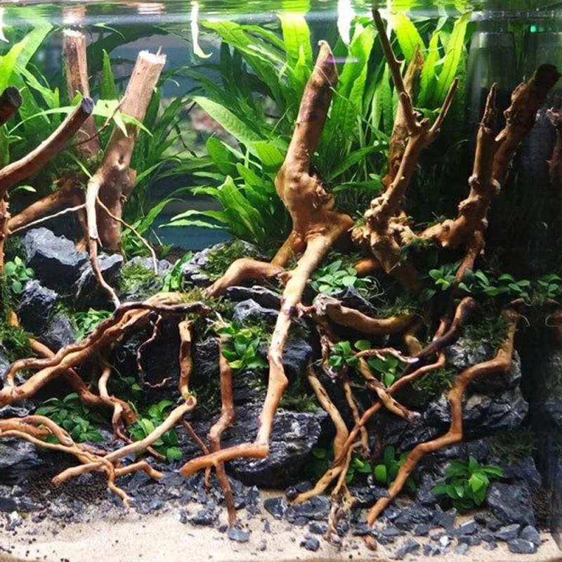 Arbre de tronc de racine de bois flotté naturel, micro paysage d'aquarium, ornements précieux de poi