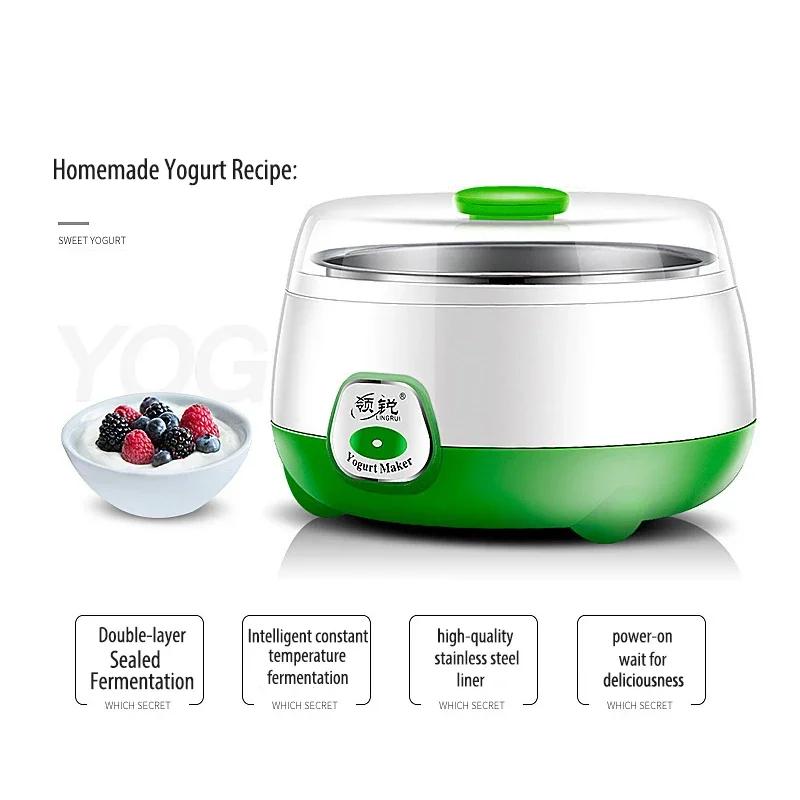 Mini Yaourtière Électrique existent et Multifonctionnelle, Machine de Fermentation Domestique, pour