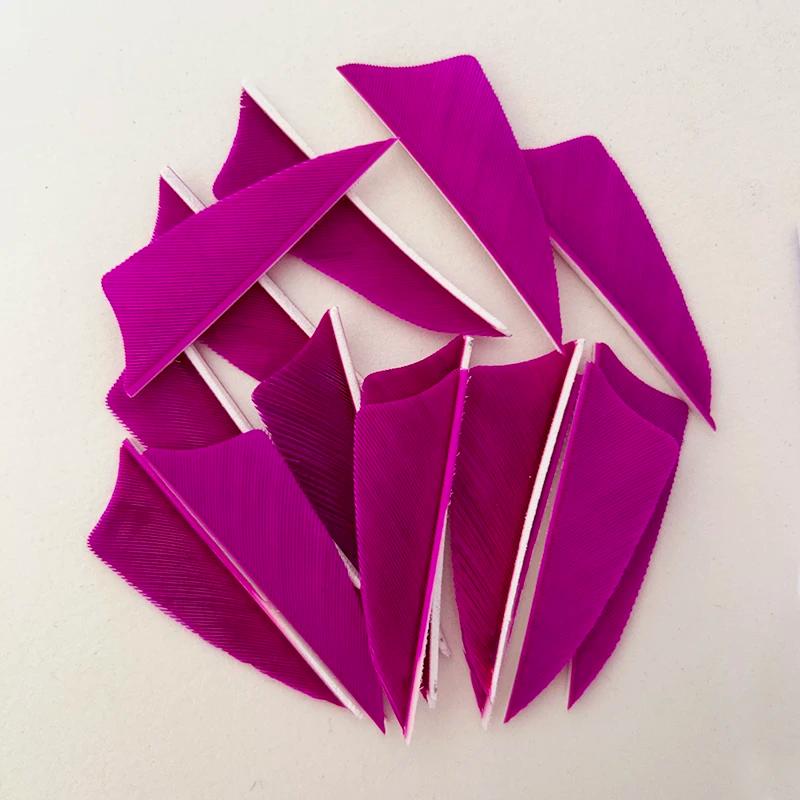 50 pièces de plumes de dinde IBOUNFOX de 2 pouces pour l'ajustement des flèches de tir à l'arc, aile