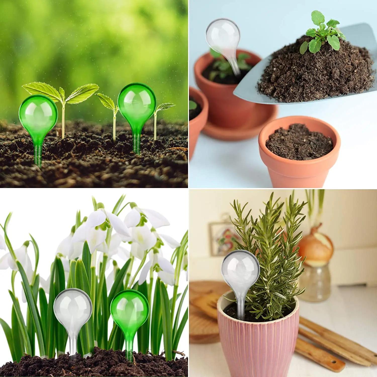 Ampoules d'arrosage automatique pour plantes, 5/12 pièces, Globes d'arrosage automatique, boules en