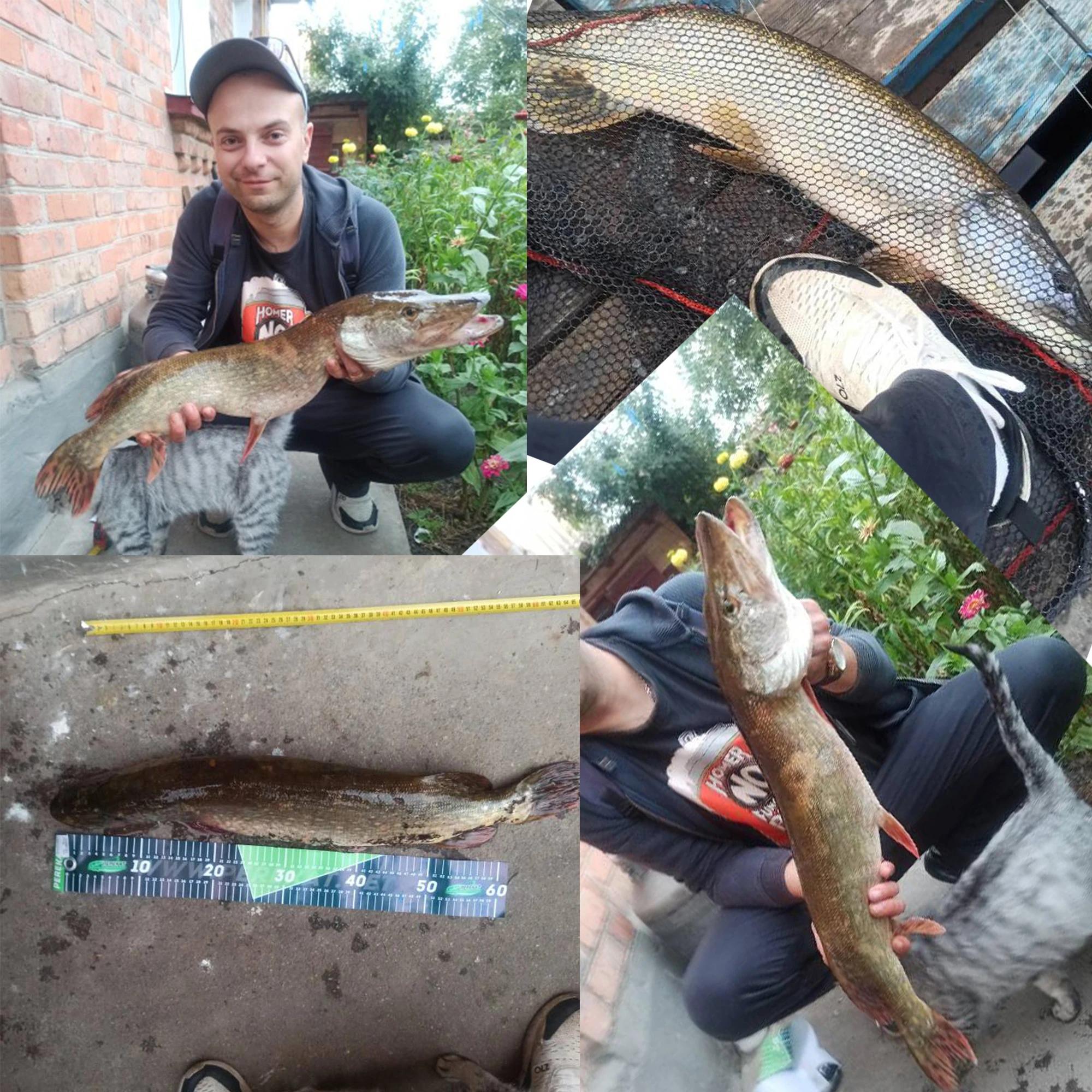 BIUTIFU BIGFISH-Canne à Pêche à la Carpe en Carbone T800, Lancer Artériel, Surfcasting, Dur, Voyage,