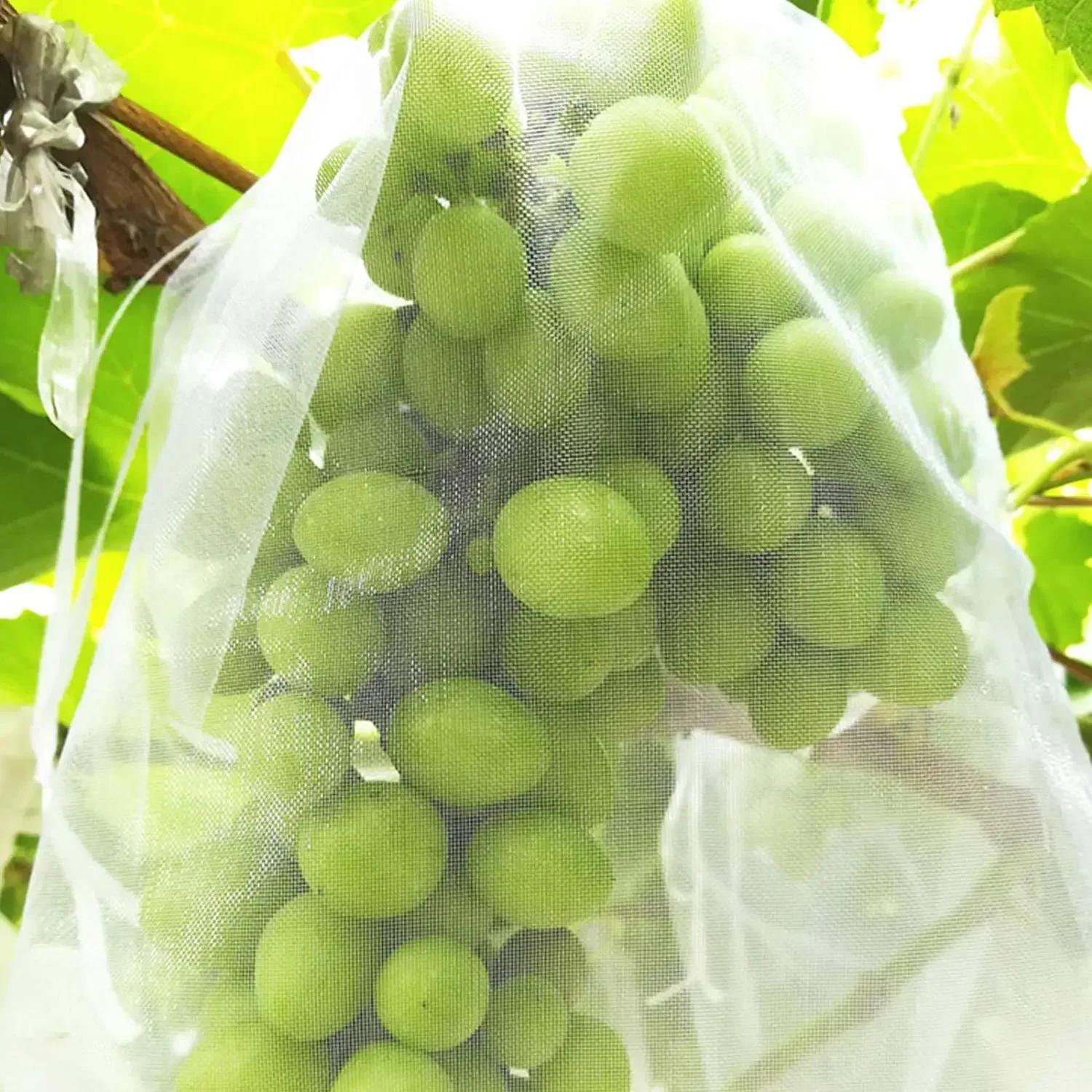 Sacs de Protection des fruits, 100 pièces, filet antiparasitaire, sacs de raisin Anti-oiseau, filet